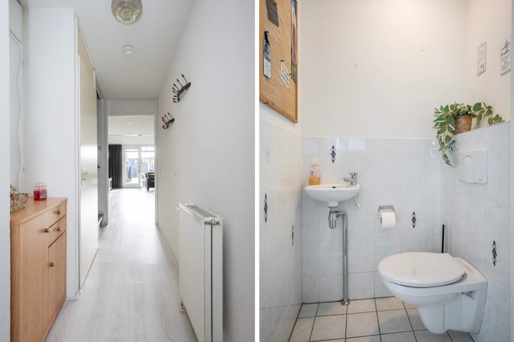 Photo 22 of Sterrenmos 62