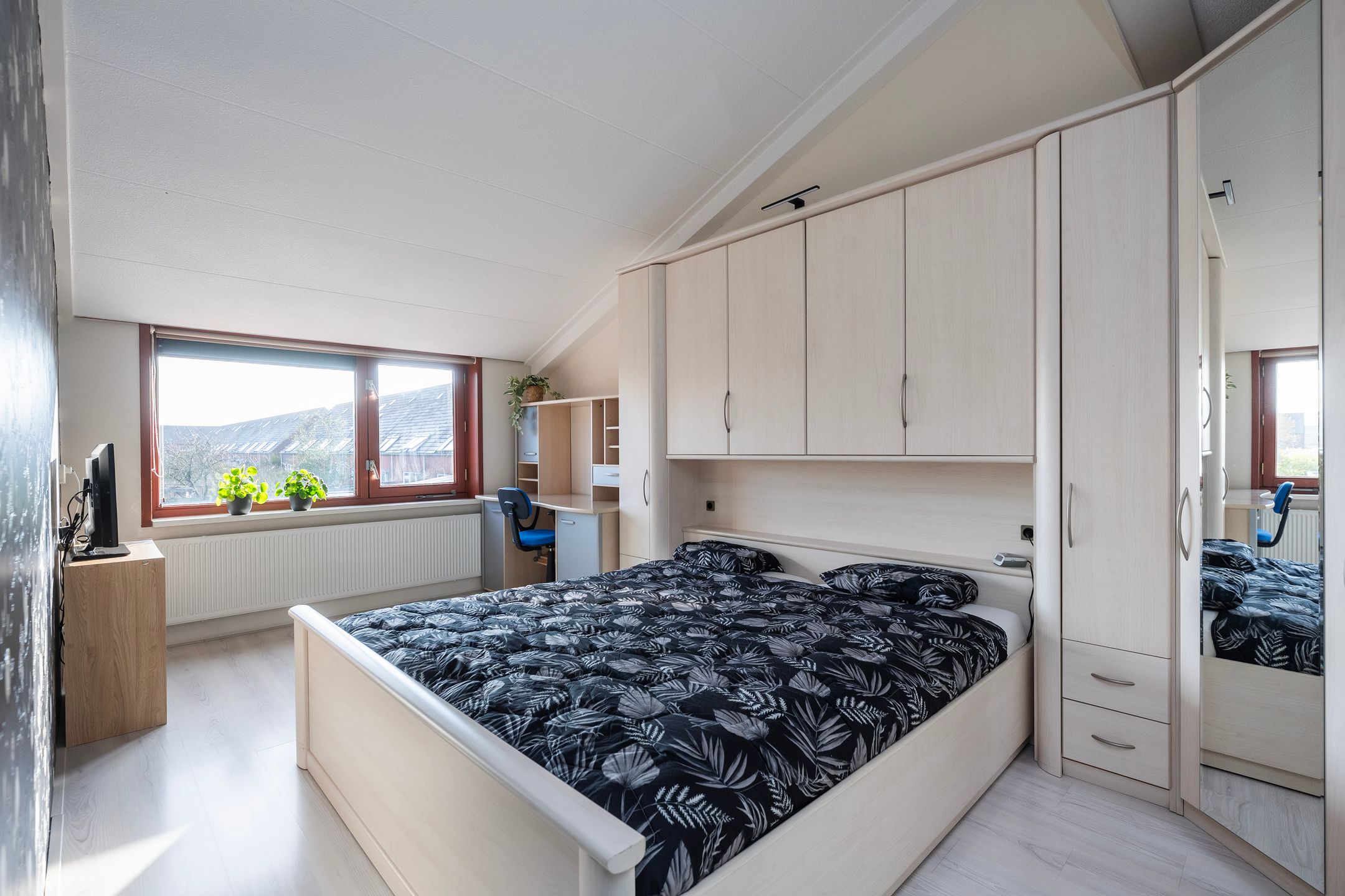 Foto 24 van Sterrenmos 62