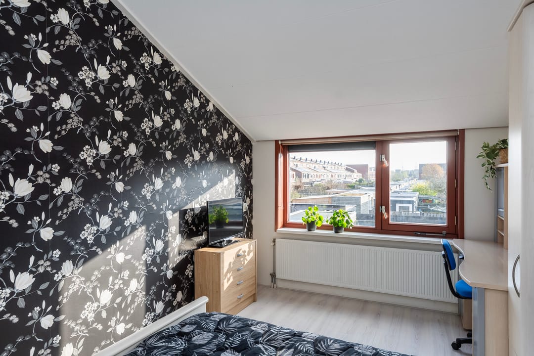 Foto 26 van Sterrenmos 62