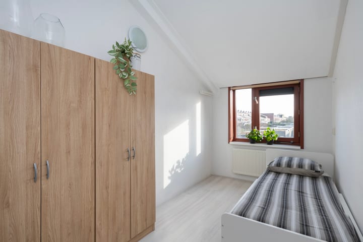 Photo 27 of Sterrenmos 62