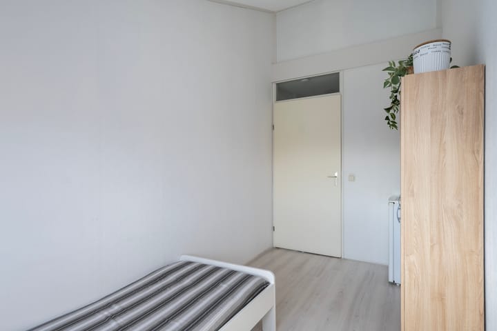 Photo 28 of Sterrenmos 62