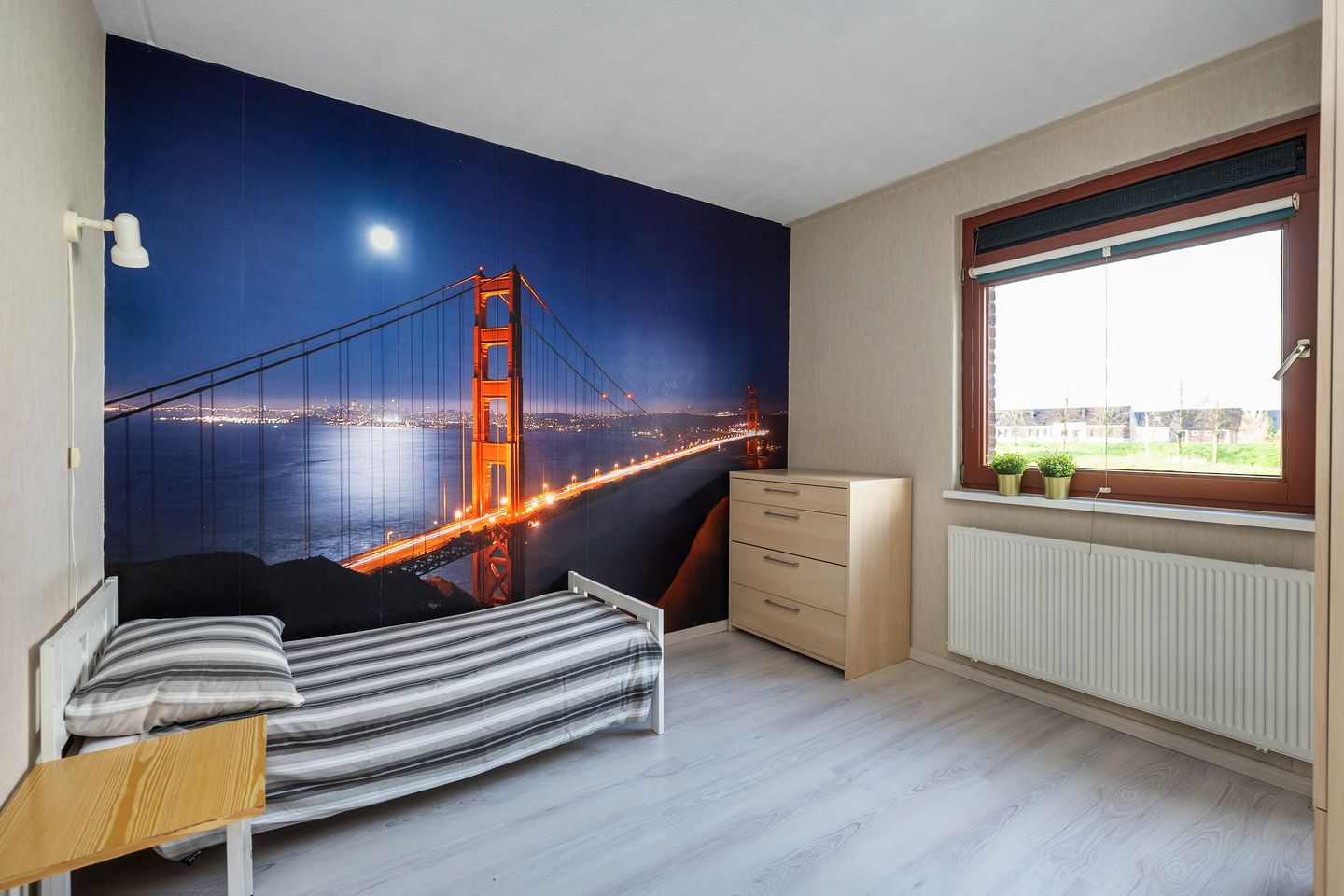 Foto 29 van Sterrenmos 62