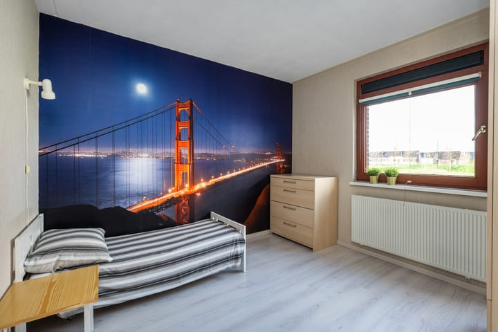 Photo 29 of Sterrenmos 62