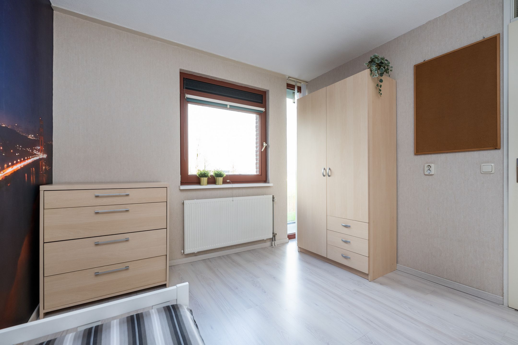 Foto 30 van Sterrenmos 62