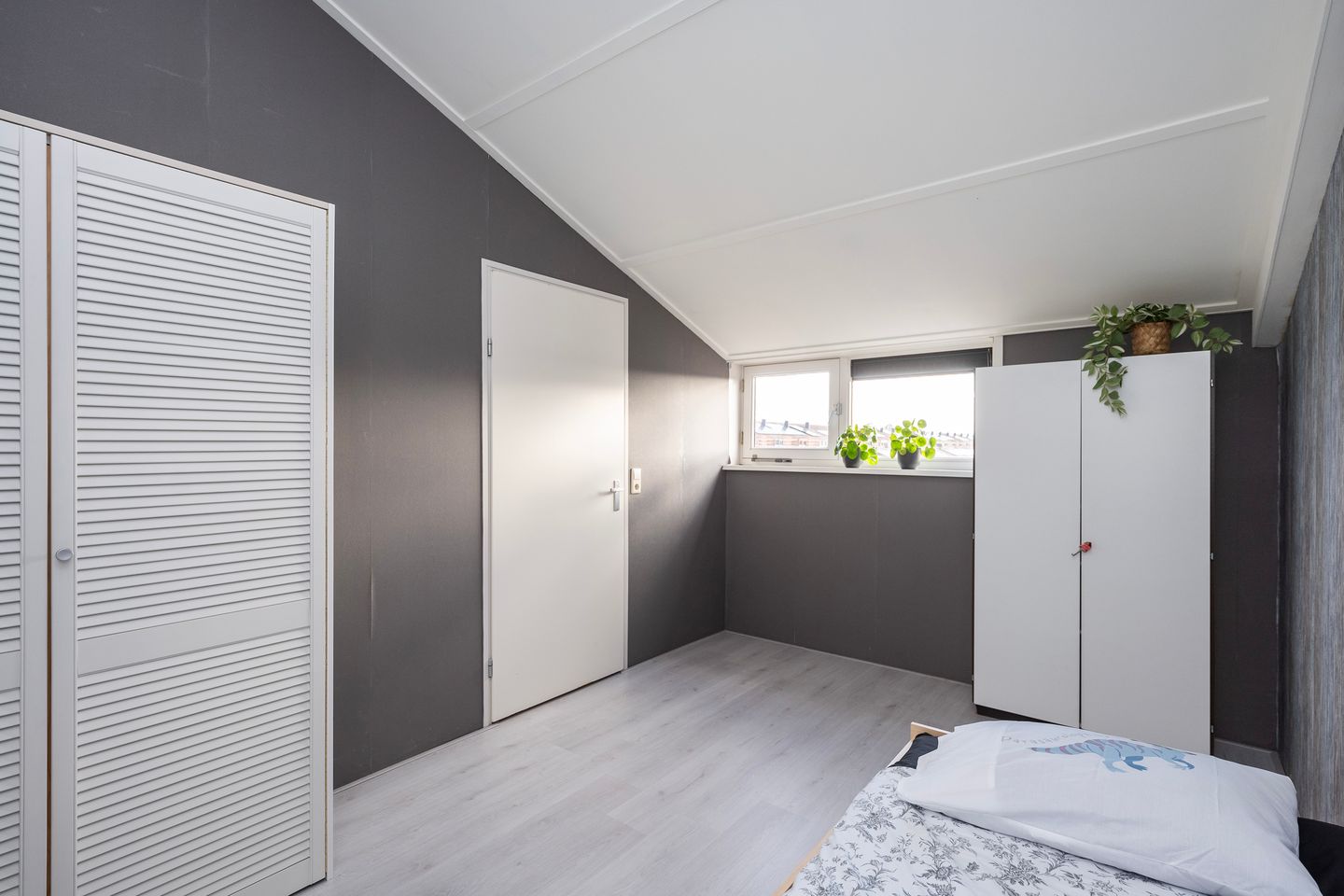 Foto 35 van Sterrenmos 62