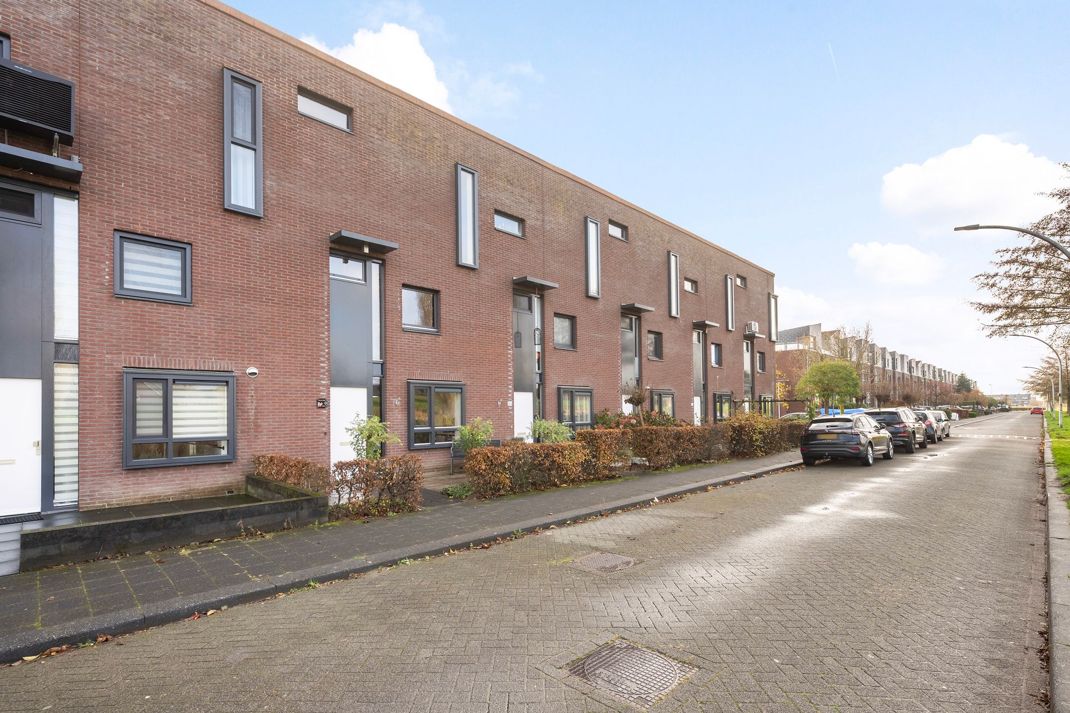 Foto 36 van Sterrenmos 62