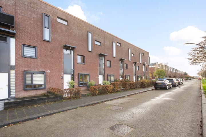 Photo 36 of Sterrenmos 62