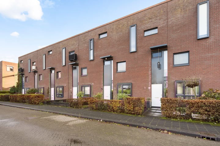 Photo 37 of Sterrenmos 62