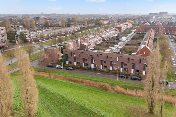 Photo 39 of Sterrenmos 62