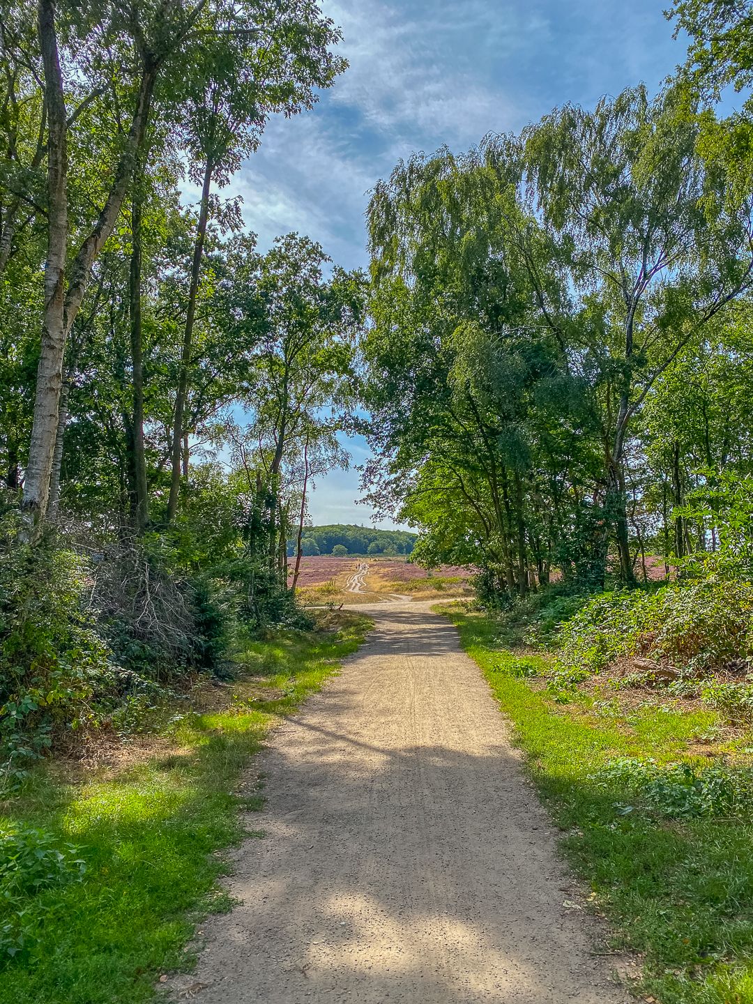 Foto 47 van Van Beuningenstraat 22