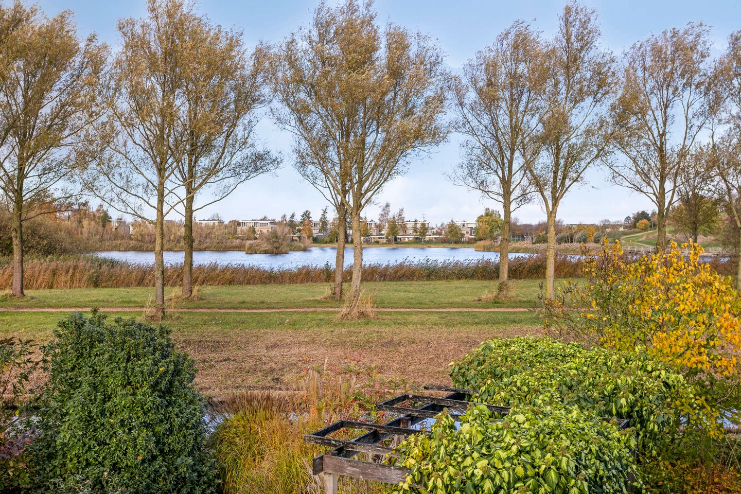 Foto 44 van Lobenpolder 17