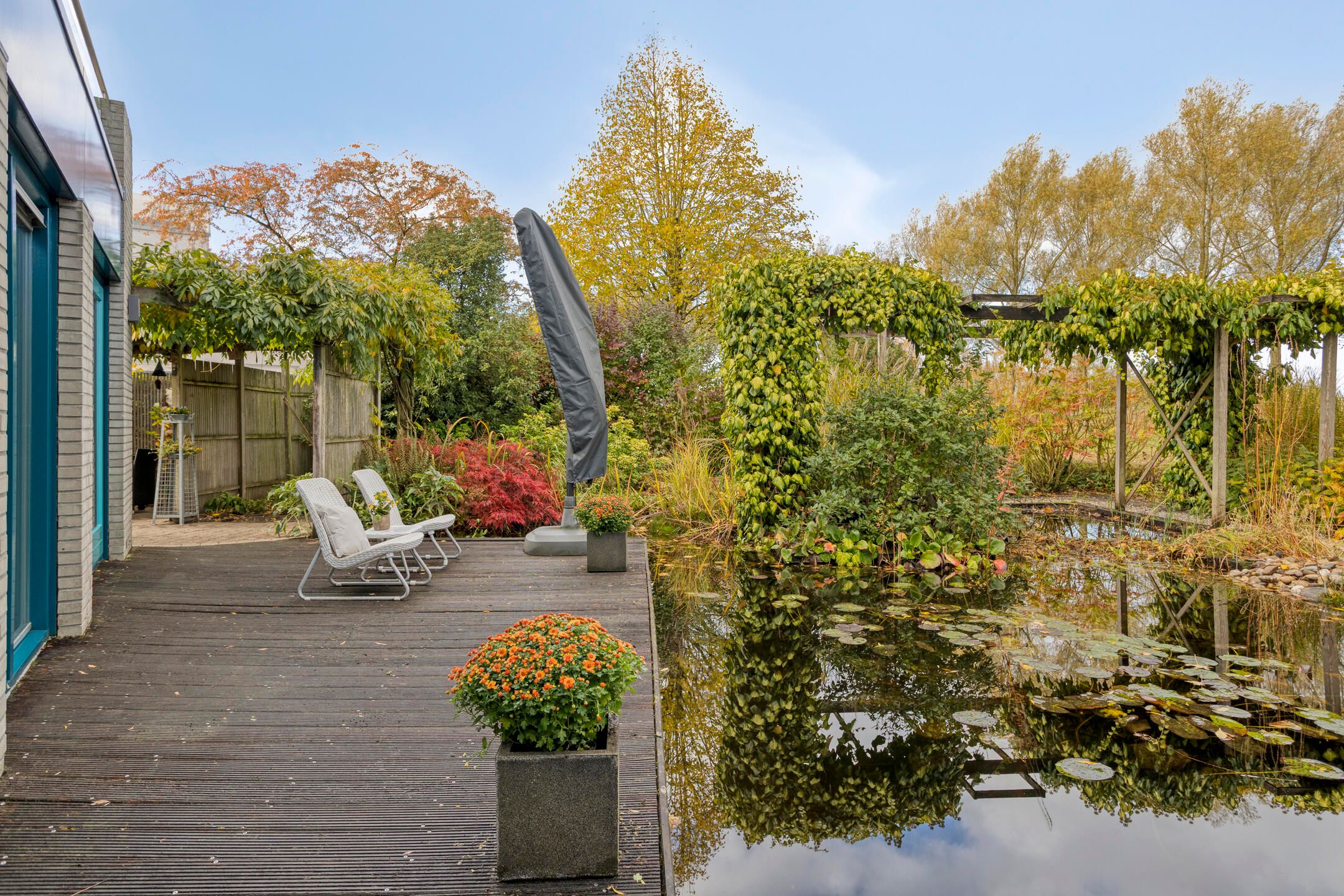 Foto 51 van Lobenpolder 17