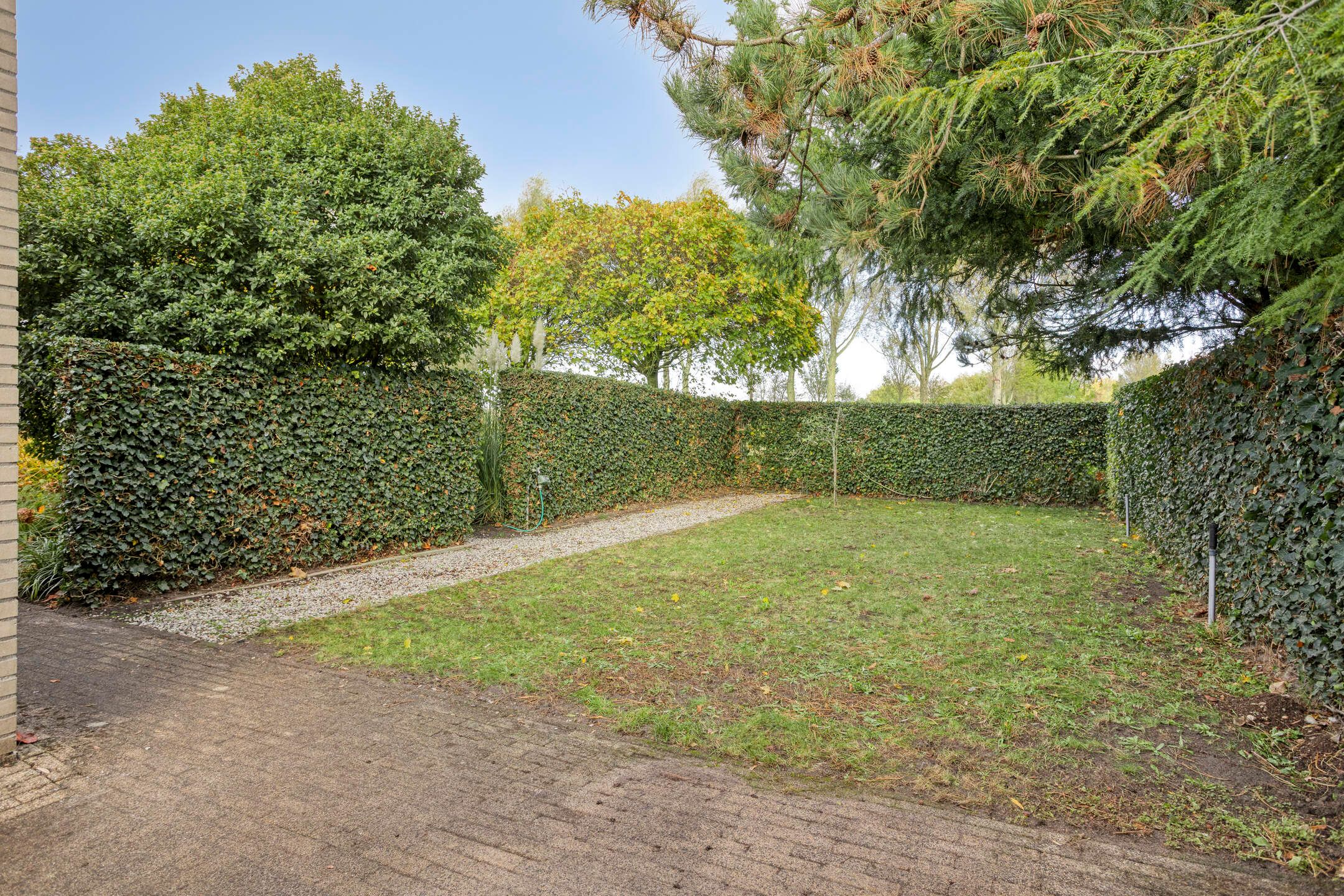 Foto 57 van Lobenpolder 17