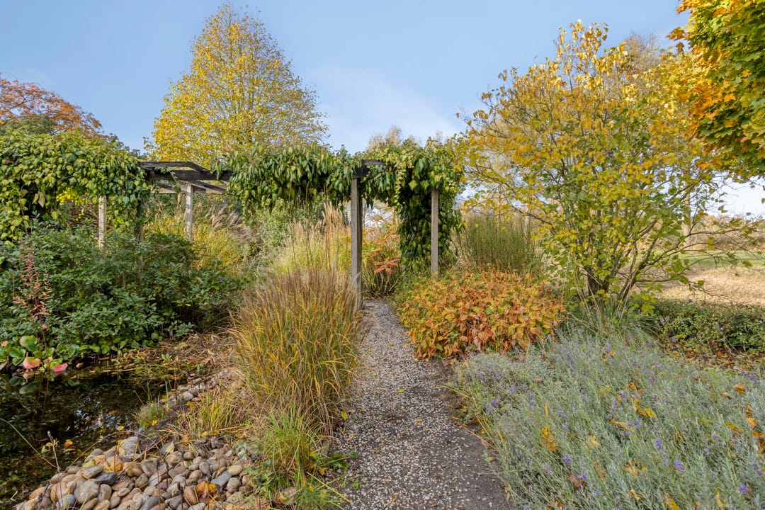 Foto 61 van Lobenpolder 17