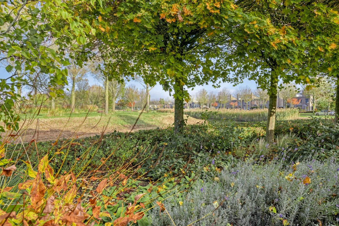 Foto 62 van Lobenpolder 17