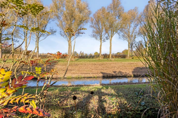 Photo 67 of Lobenpolder 17