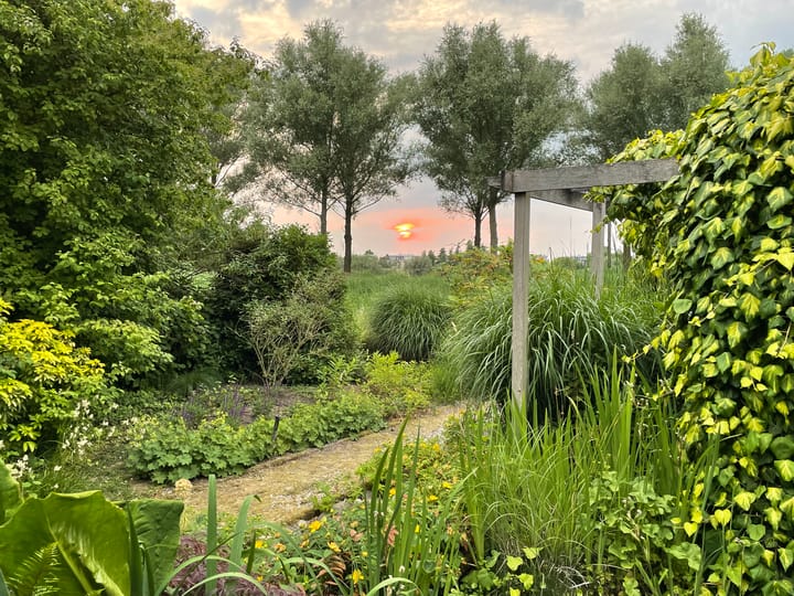 Photo 71 of Lobenpolder 17