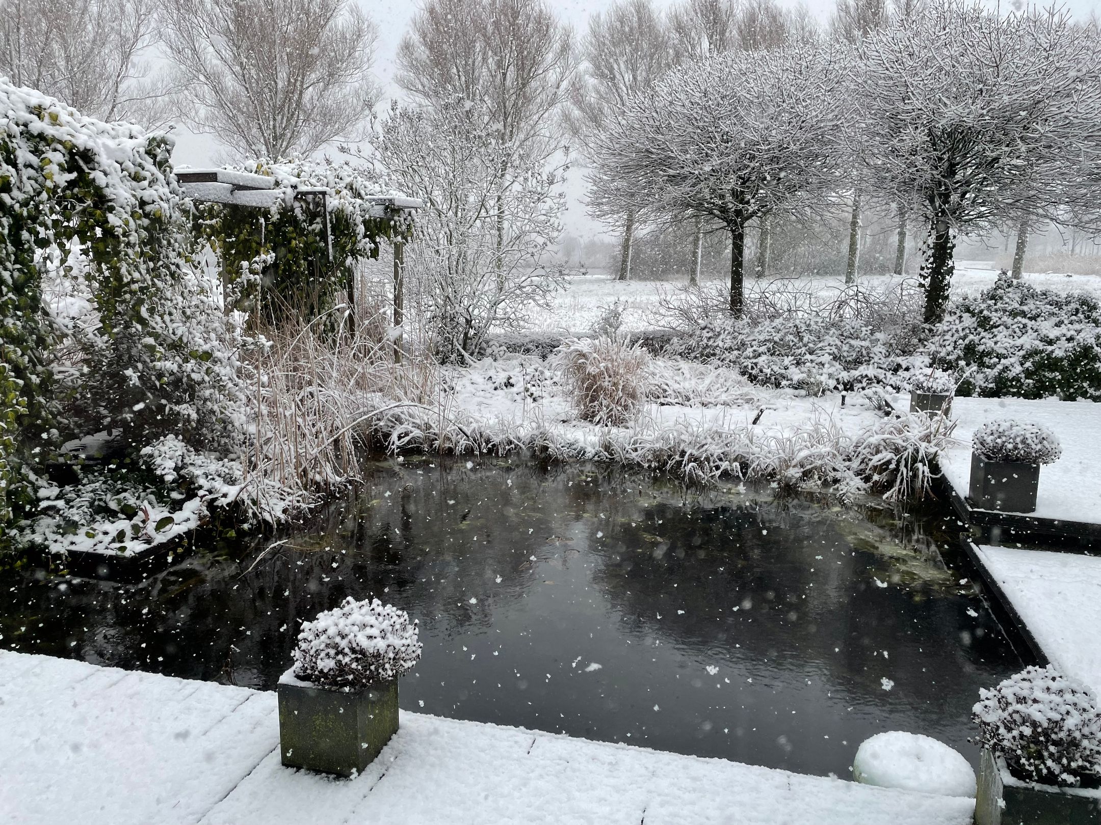 Foto 78 van Lobenpolder 17