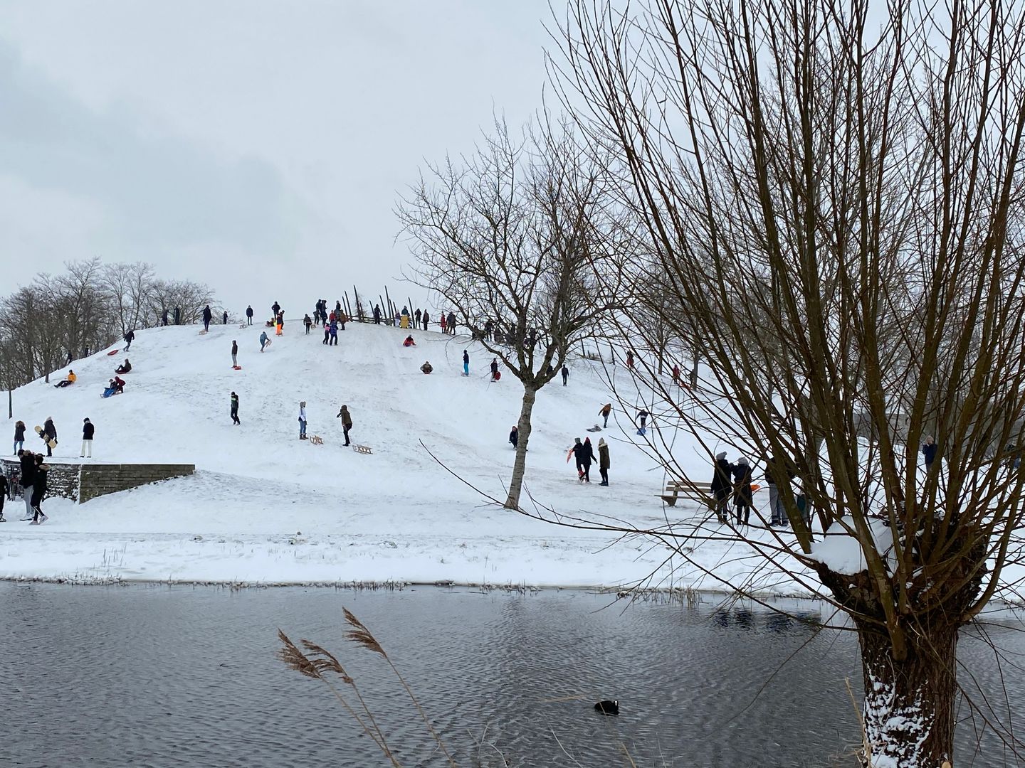 Foto 80 van Lobenpolder 17