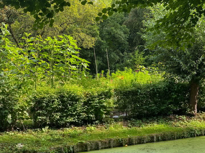 Foto 13 van Essenburgsingel 89-A