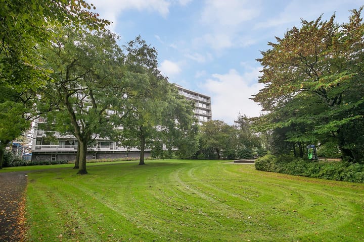 Foto 18 van Sint Philipsland 71