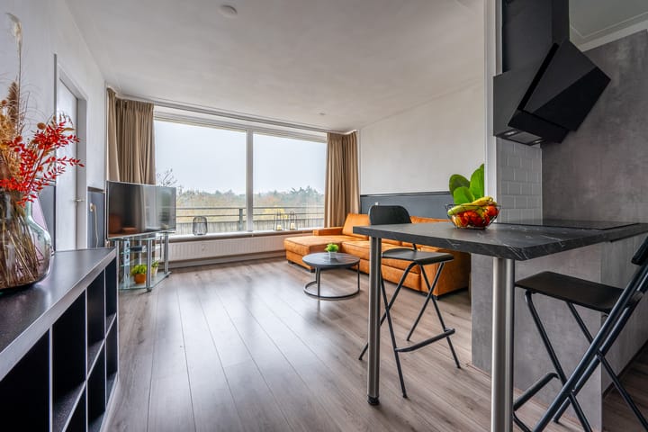 Foto 2 van Laan van Vollenhove 952