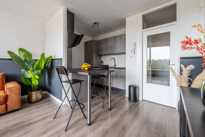 Foto 8 van Laan van Vollenhove 952