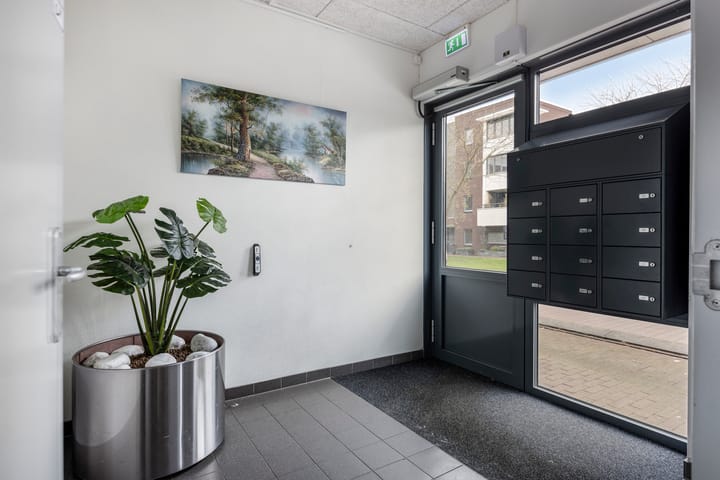 Photo 15 of Zomertaling 47