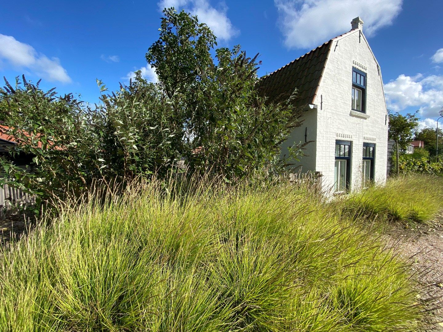 Foto 18 van Braamdijk 12