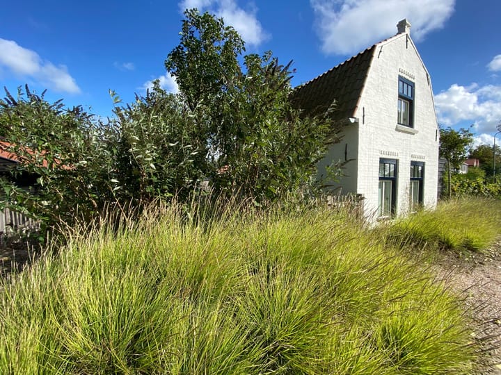 Foto 18 van Braamdijk 12