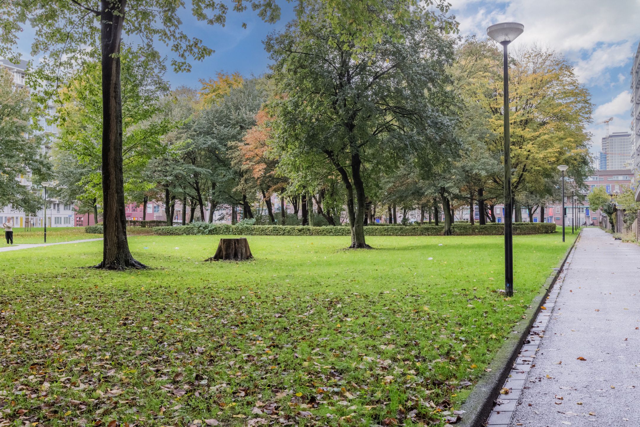 Foto 12 van Haag en Veld 245-A