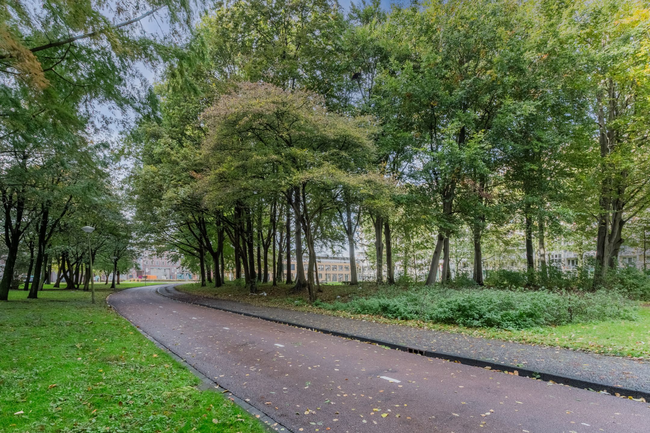 Foto 3 van Haag en Veld 245-A