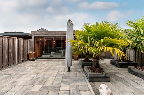 Galjoen 08 49 tertiary image