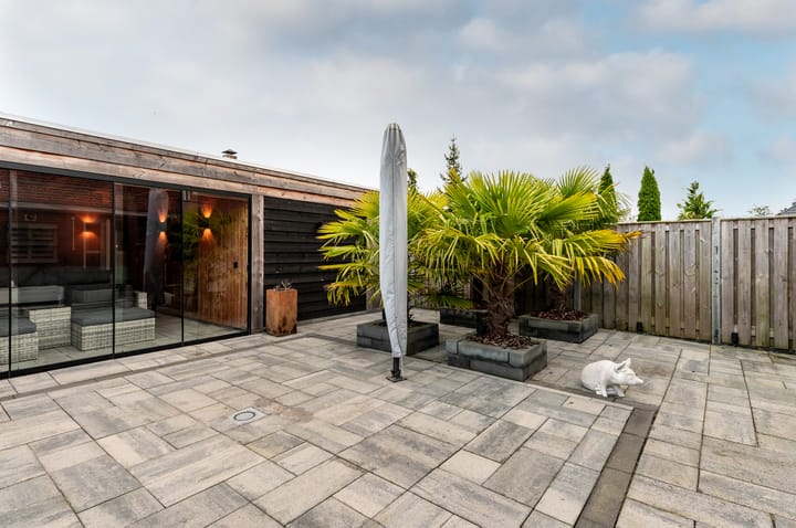 Photo 32 of Galjoen 08 49