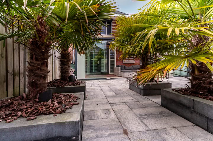 Photo 33 of Galjoen 08 49