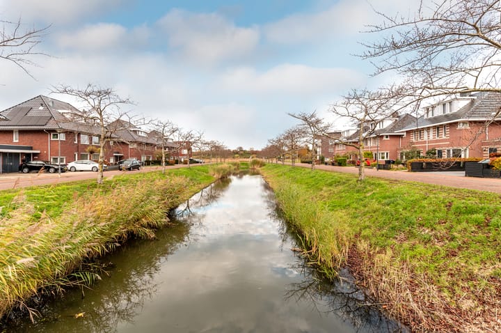 Photo 38 of Galjoen 08 49