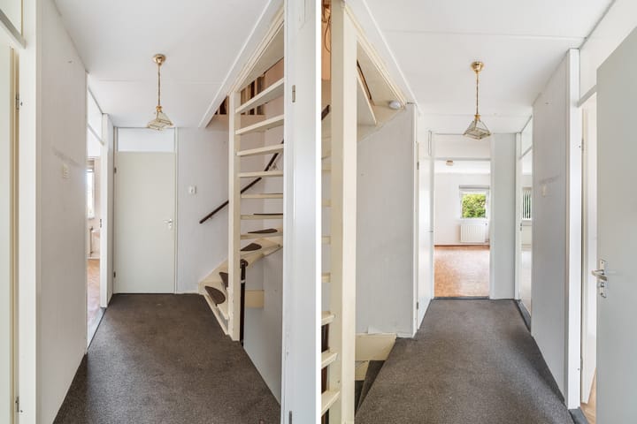 Photo 13 of Boeier 14