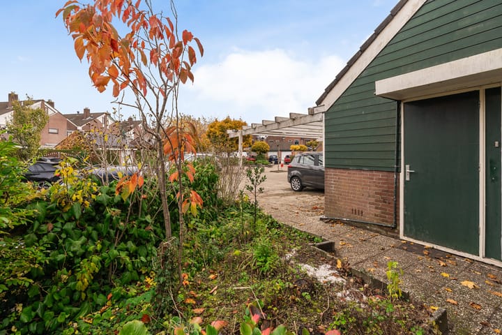 Photo 24 of Boeier 14