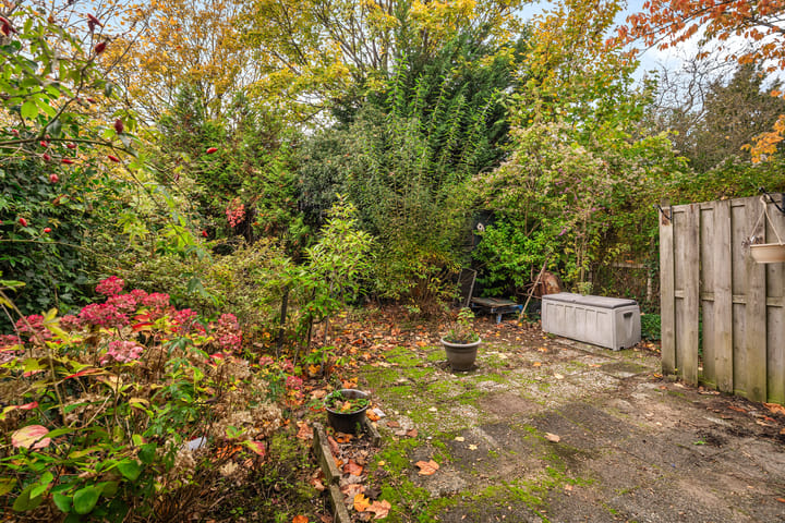 Photo 25 of Boeier 14