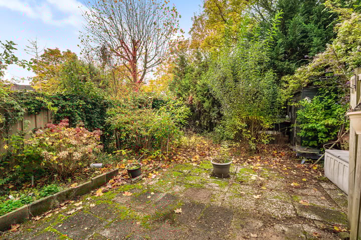 Photo 26 of Boeier 14