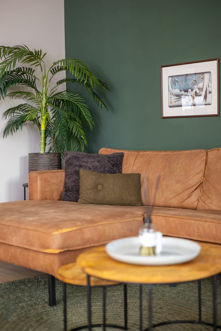 Foto 14 van Houtzaagmolen 195