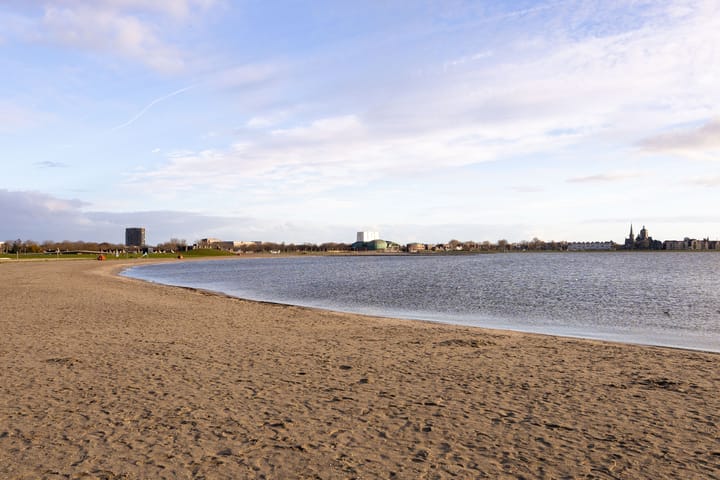 Foto 45 van Houtzaagmolen 195