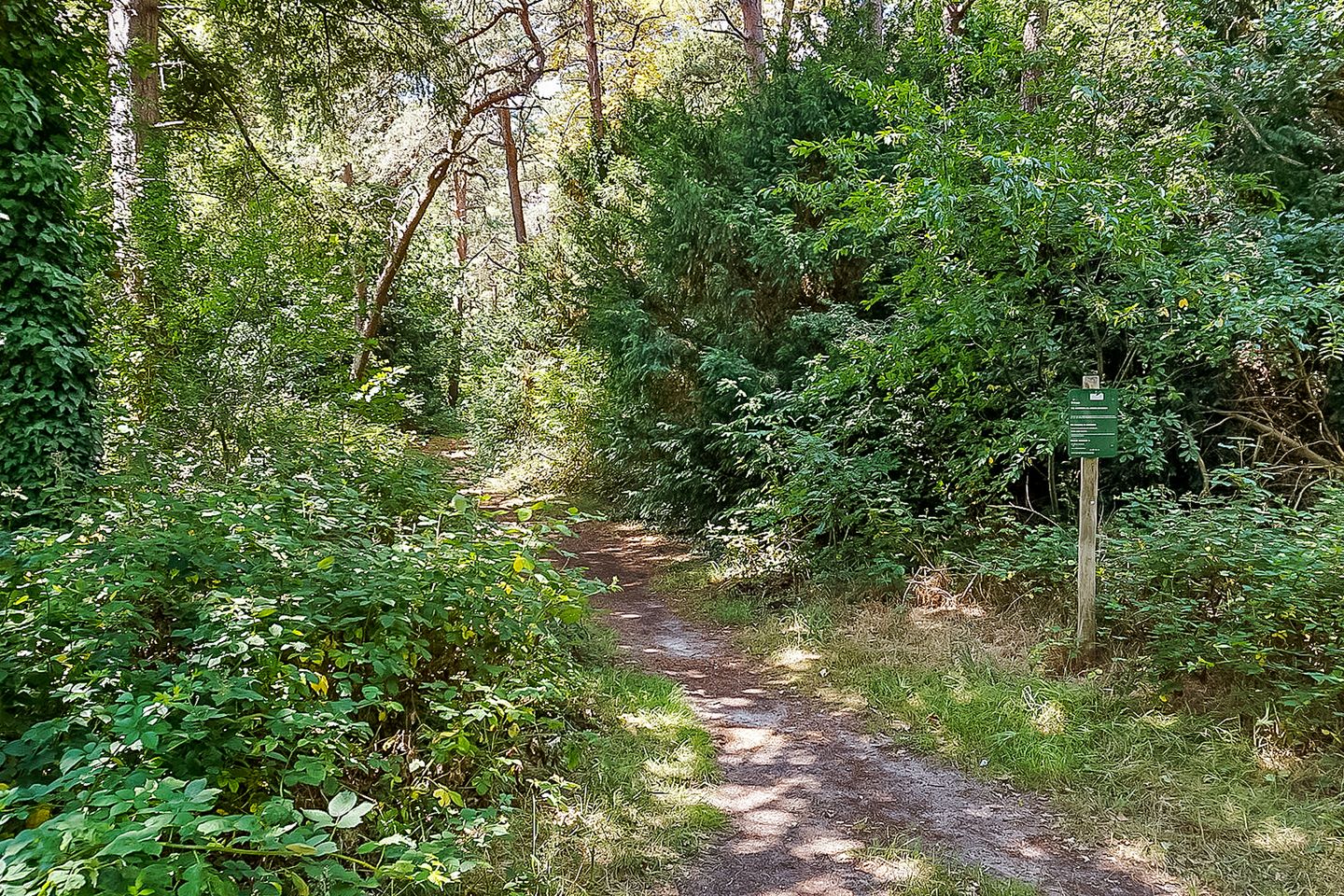 Foto 65 van Dolderseweg 171