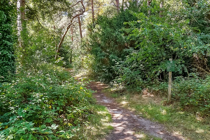 Photo 65 of Dolderseweg 171