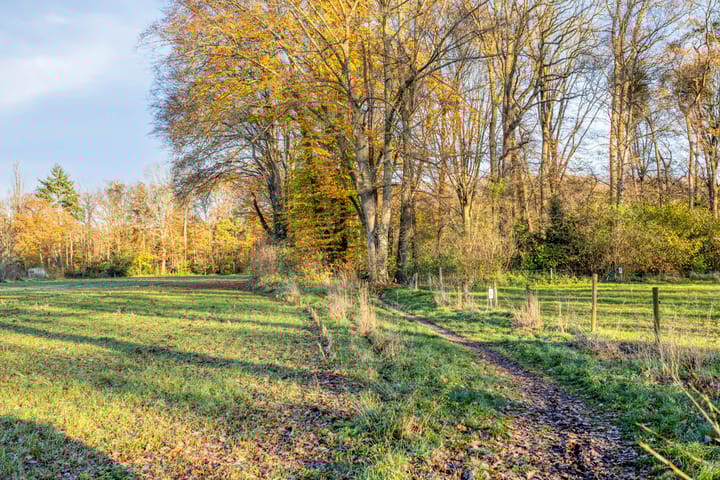 Foto 50 van Hoefslag 7