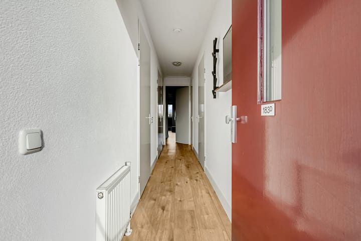 Foto 16 van Berghemseweg 183-D