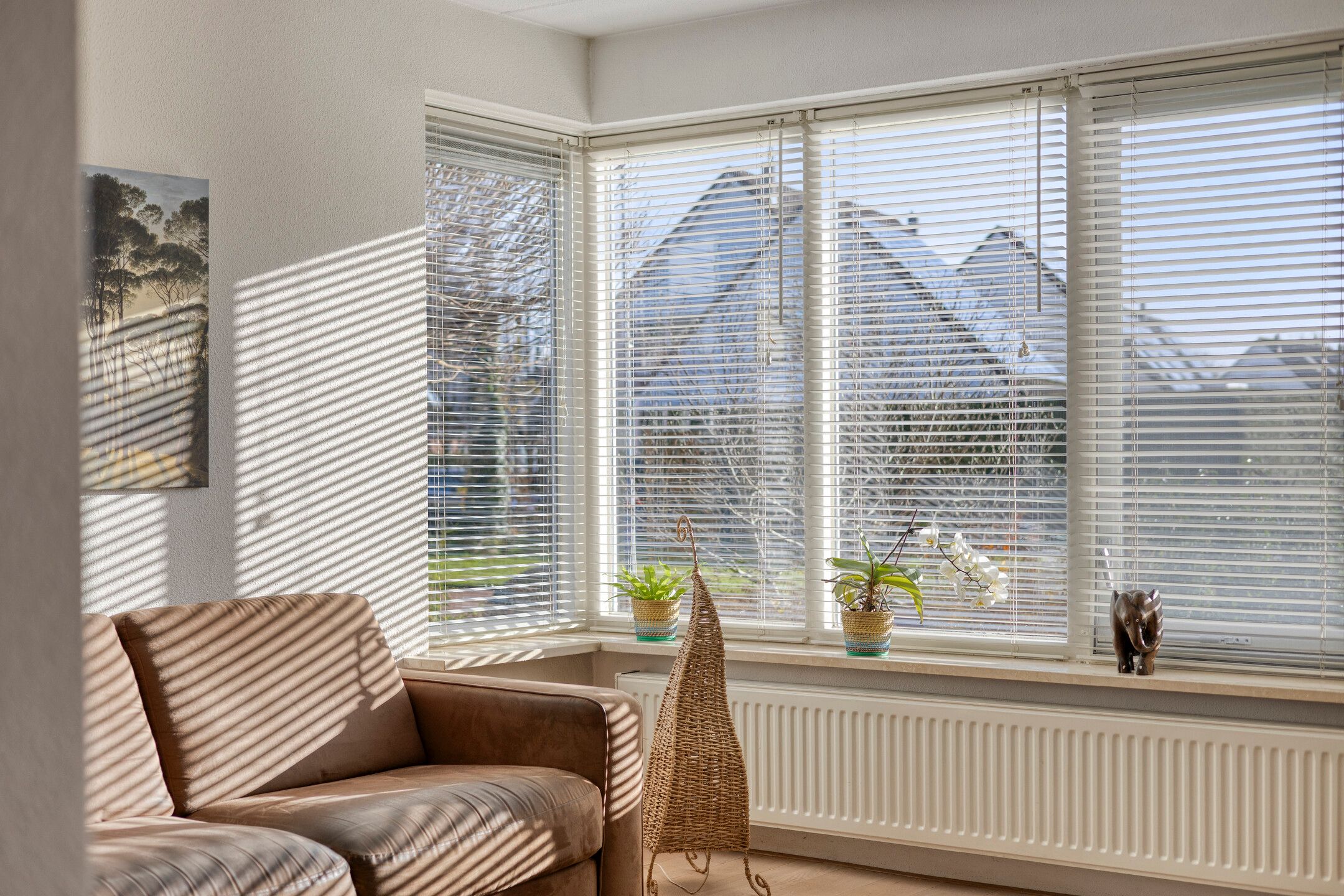 Photo 9 of Dreeuwing 38