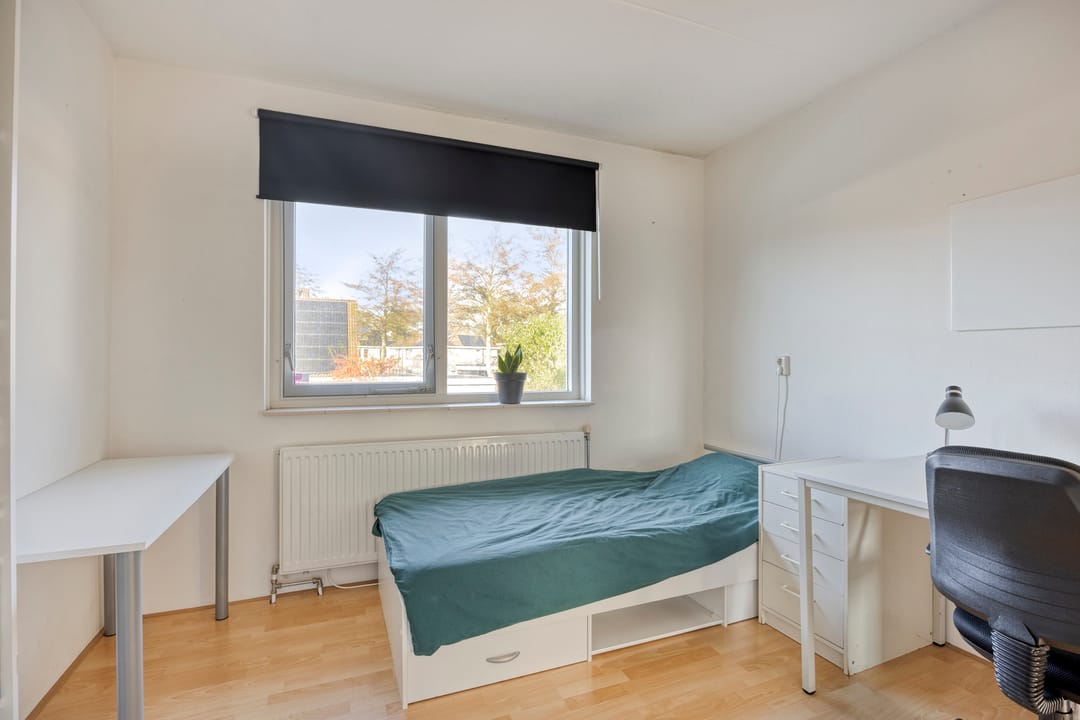 Photo 28 of Dreeuwing 38