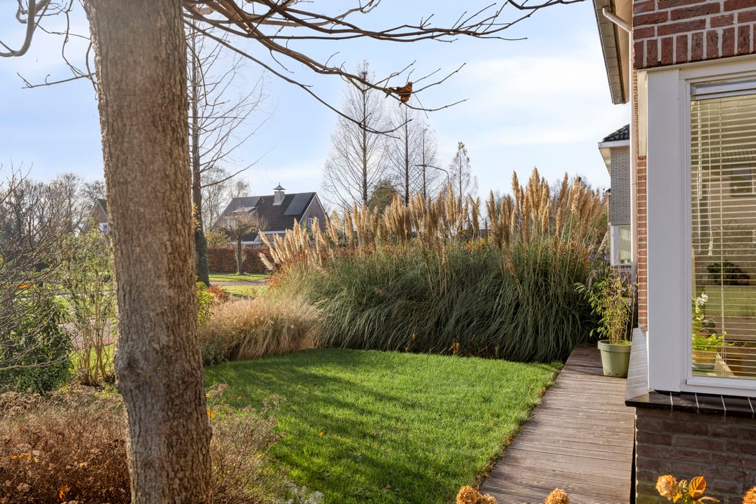 Photo 38 of Dreeuwing 38