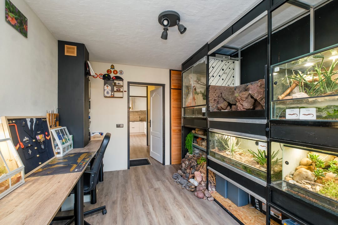 Photo 13 of Struikheideveld 10